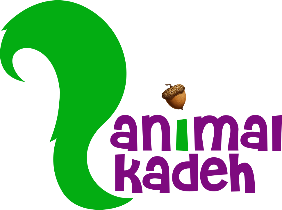 انیمال کده 